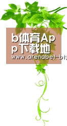 b体育App下载地址 - 官方平台安全可靠